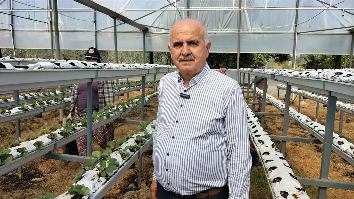 kadin ciftciler gunu manavgatta kutlandi MEPyX67H.jpg