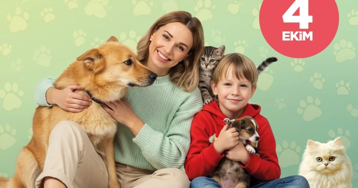 sehrin ilk pati festivali izmitte basliyor B3GkNV3k