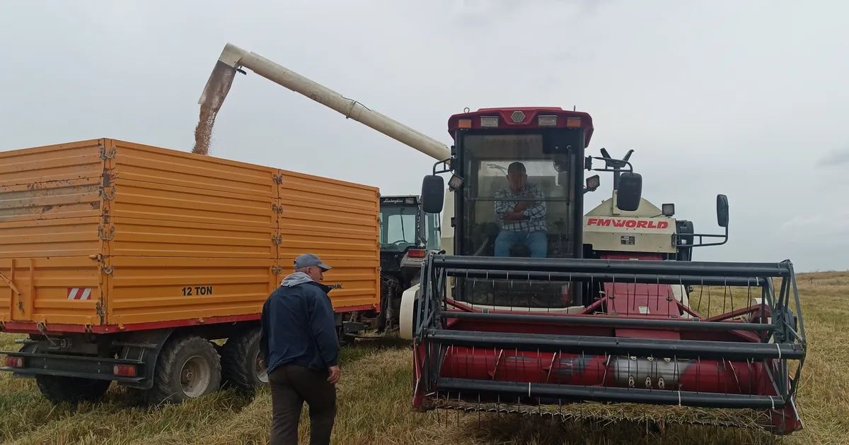 tarimda devrim dunyada ilk damlama sulama ile celtik uretimi Fl4p9yiW