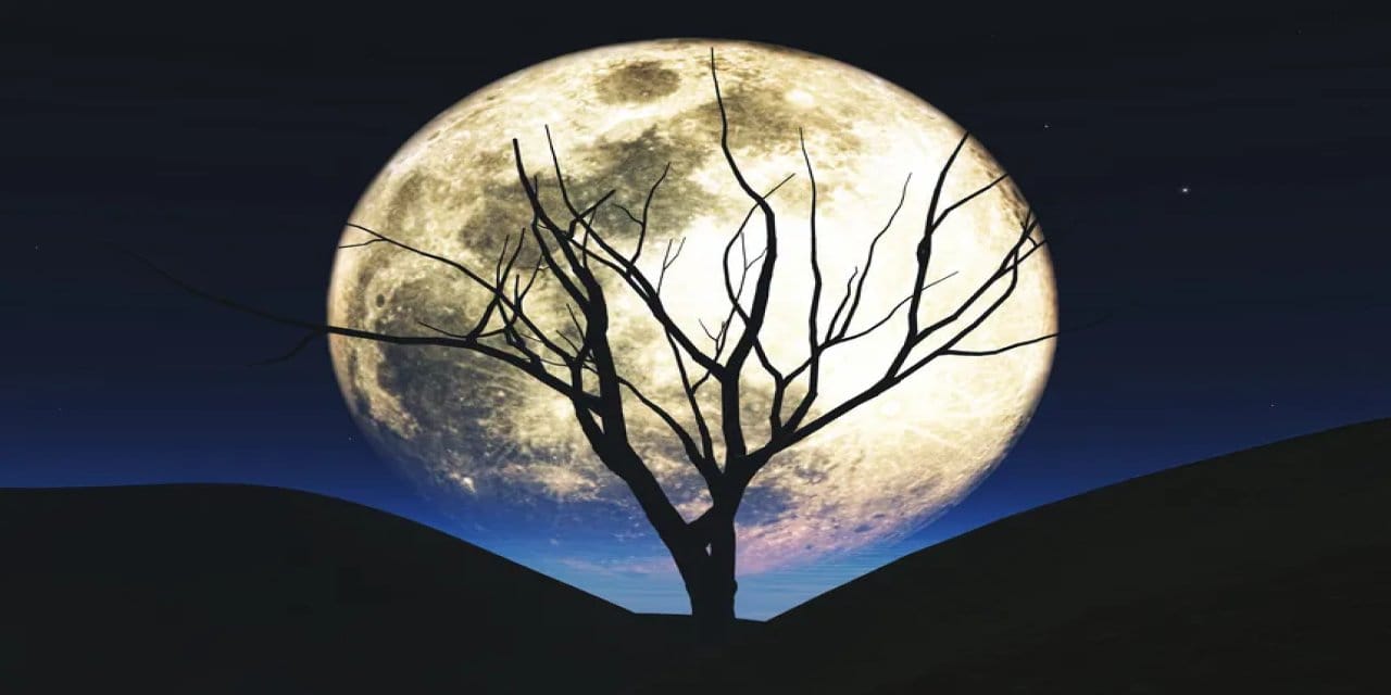 5 kasimda boga burcundaki dolunay neler geliyor neler gidiyor J9OhkhGb.jpg