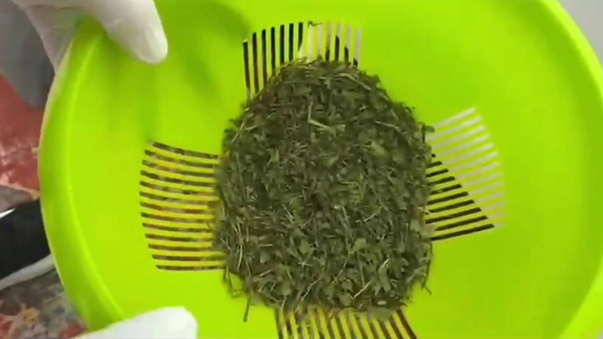 sakaryada uyusturucu satarken tespit edilen supheli tutuklandi NYcD1j6h.jpg