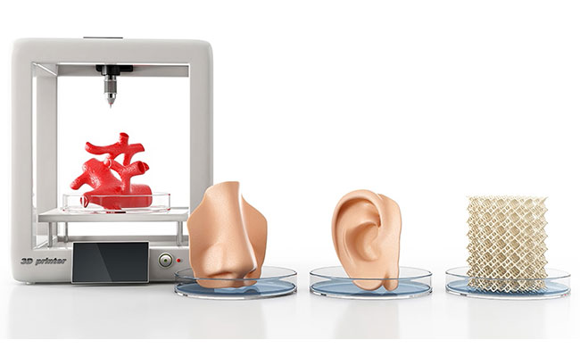 Doku Mühendisliği ve 3D Biyoyazıcı Teknolojisi