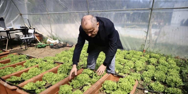 denizden-toplanan-copten-gubre-yaptilar-simdi-marul-ve-cilek-uretiyorlar-9Wfe3jzG