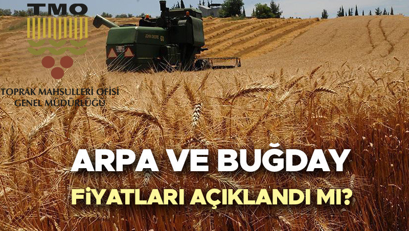 tmo-bugday-fiyatlari-2026-guncel-2026-bugday-fiyatlari-yukselir-mi-ne-olur-arpa-EW7IPwf2