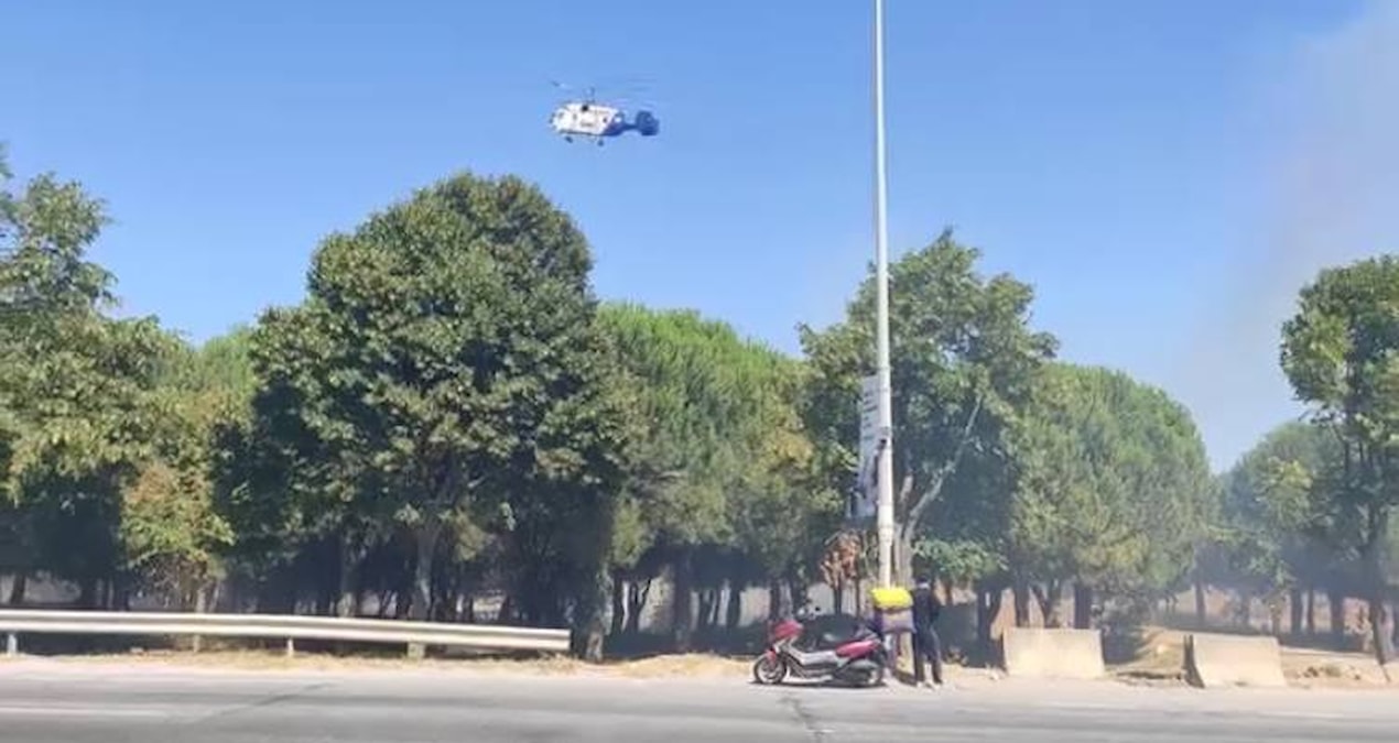 Başakşehir’de torpil yangını! Ağaçlık alan alevlere teslim oldu Img
